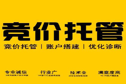 行业案例研究：SEM竞价托管的策略与挑战